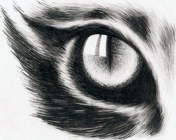 252x200 Cat Eye Drawing - Cat Eyes Drawing