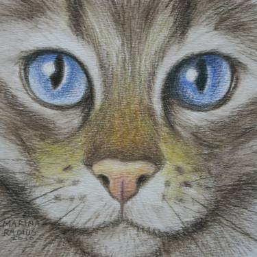375x375 Cat's Eyes Blue Drawing - Cat Eyes Drawing