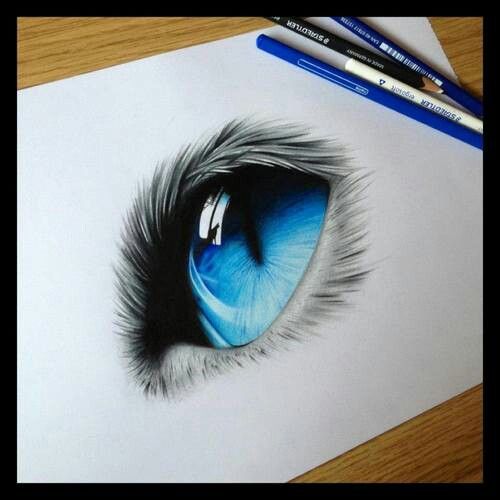 500x500 Cat Eye Pencil Drawing Soft Touch And Skill Art Is Limitless - Cat Eyes Drawing