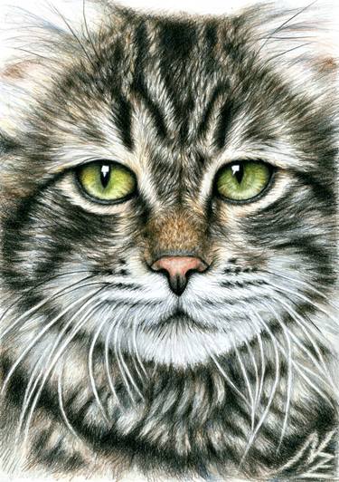 375x532 Cats Face Drawing - Cat Face Drawing