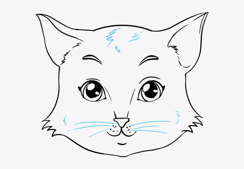820x569 How To Draw Cat Face - Cat Face Drawing