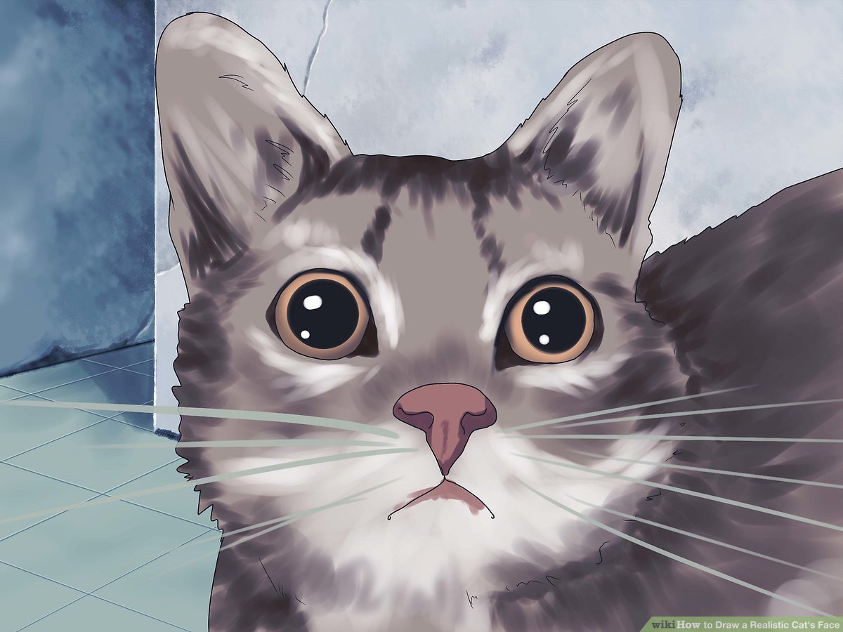 1200x900 How To Draw A Realistic Cat's Face Steps - Cat Face Drawing