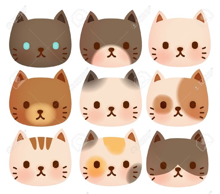 736x648 Cute Cat Cartoon Pictures Image Group - Cat Face Drawing Cartoon