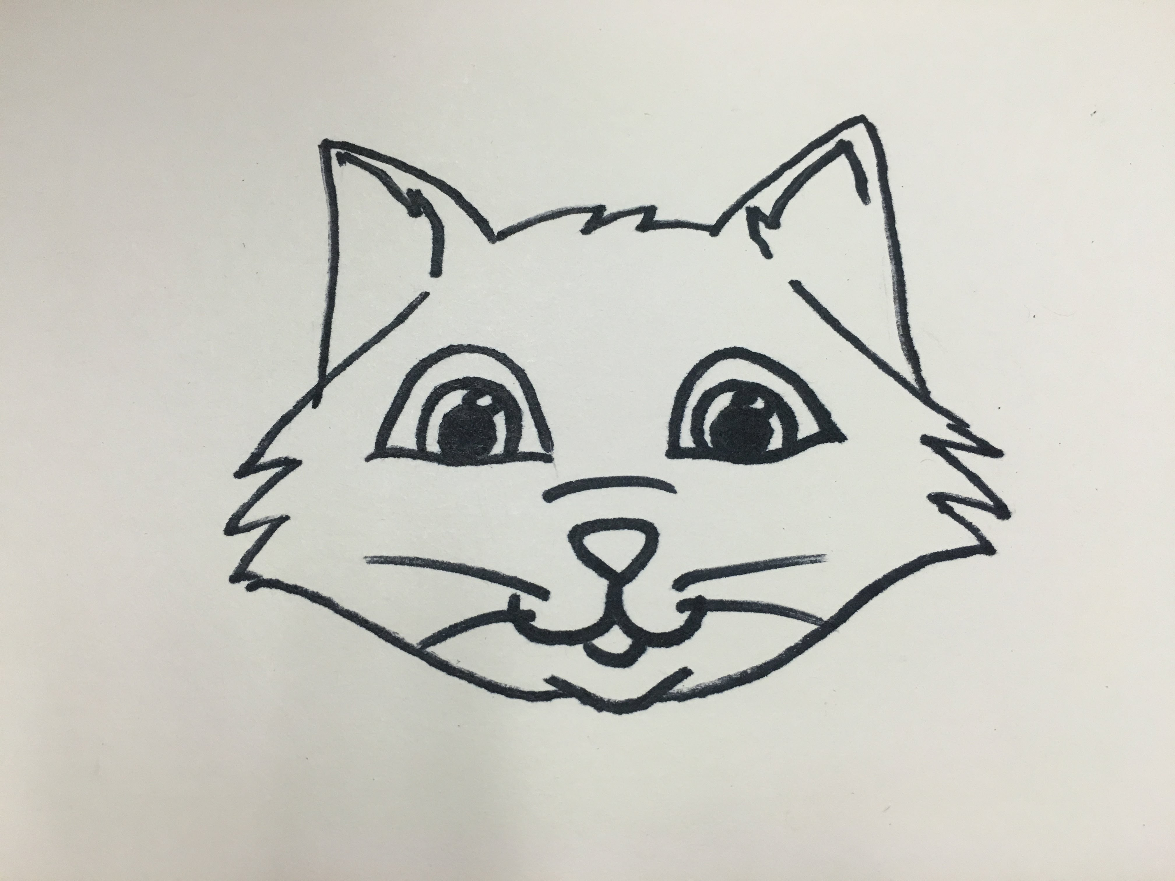 Cat face easy drawing