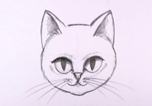 300x210 Draw A Cat Face Cartoon - Cat Face Drawing Cartoon
