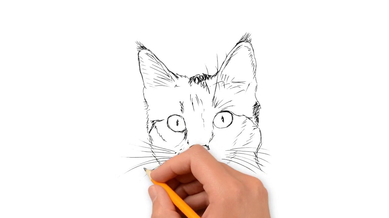 1280x720 Drawing Cartoon Cat Face Tutorial How To Easily Drawing Cats - Cat Face Drawing Cartoon