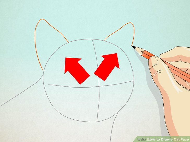 728x546 Easy Cat Face Drawing How To Draw A Cat Face Steps With Wikihow - Cat Face Drawing Cartoon