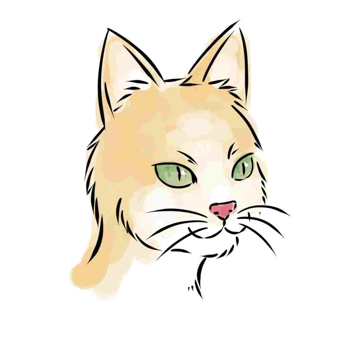 1185x1185 Cat Draw A Cat Face Face Drawing Cartoon At Getdrawingscom Free - Cat Face Drawing Cartoon