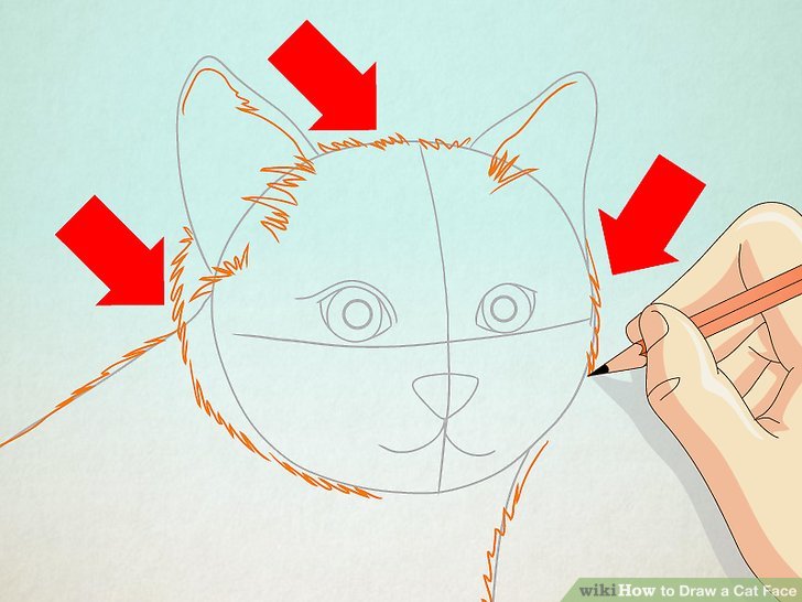 728x546 How To Draw A Cat Face Steps - Cat Face Drawing Images