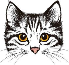 236x222 Huge Collection Of 'cat Face Drawing Images' Download More Than - Cat Face Drawing Images