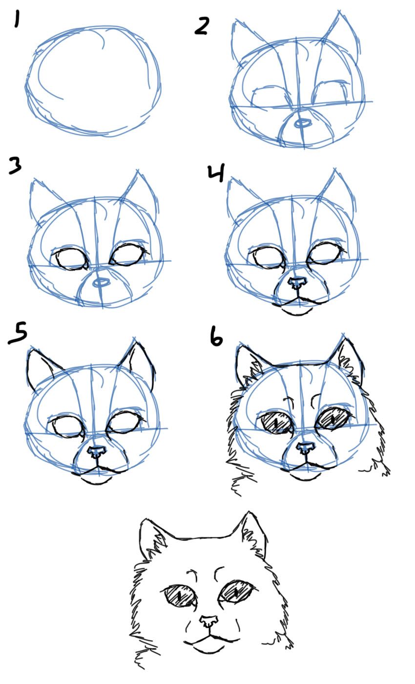 850x1400 How To Draw How To Draw Cat Facesheads Front View How - Cat Face Drawing Images