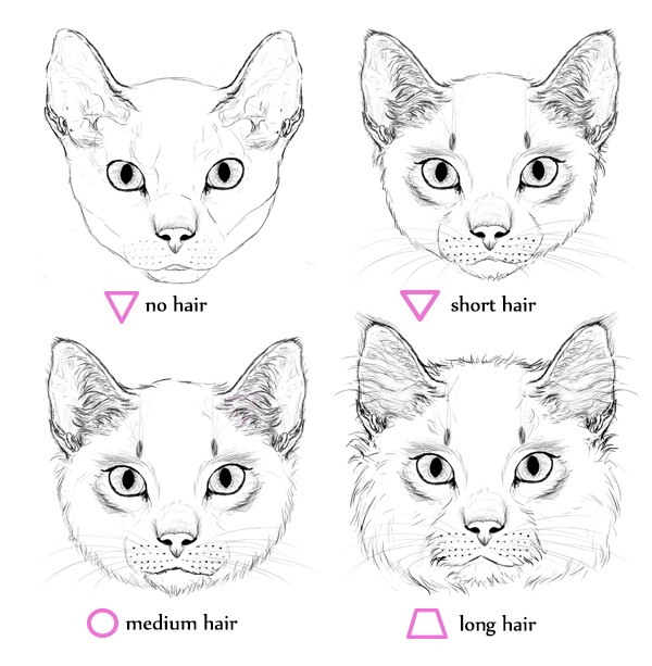 600x613 Cat Face Drawing Drawings - Cat Face Drawing Images