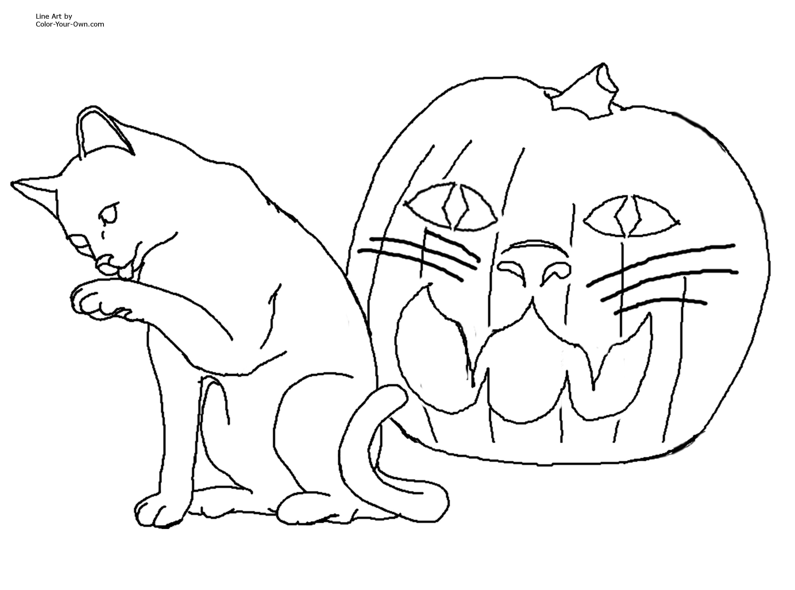 3232x2400 Cat Face Drawing For Halloween Beautiful Of Coloring Pages Cats - Cat Face Drawing Images