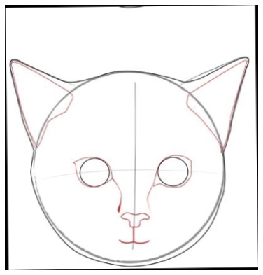 Cat Face Drawing Tutorial at PaintingValley.com | Explore collection of ...