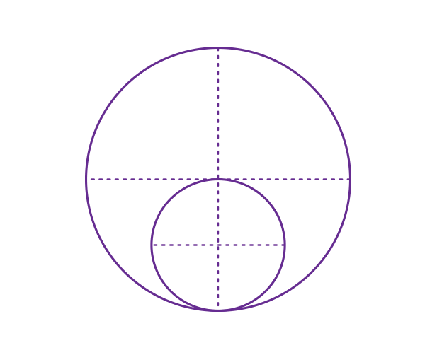 600x502 How To Draw Animals Cats And Their Anatomy - Cat Face Drawing Tutorial