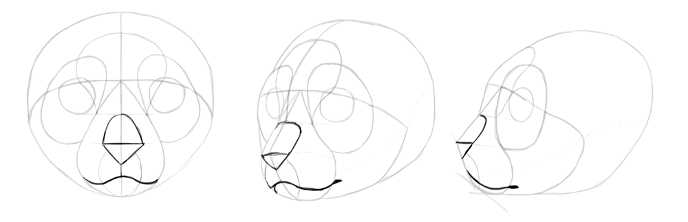 1000x323 How To Draw Cats Step - Cat Face Drawing Tutorial