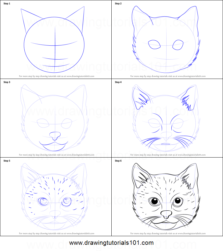 Cat Face Drawing Tutorial at PaintingValley.com | Explore collection of ...