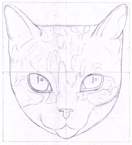 450x496 How To Draw A Cat Learn How To Create A Unique Colorful Cat - Cat Face Drawing Tutorial