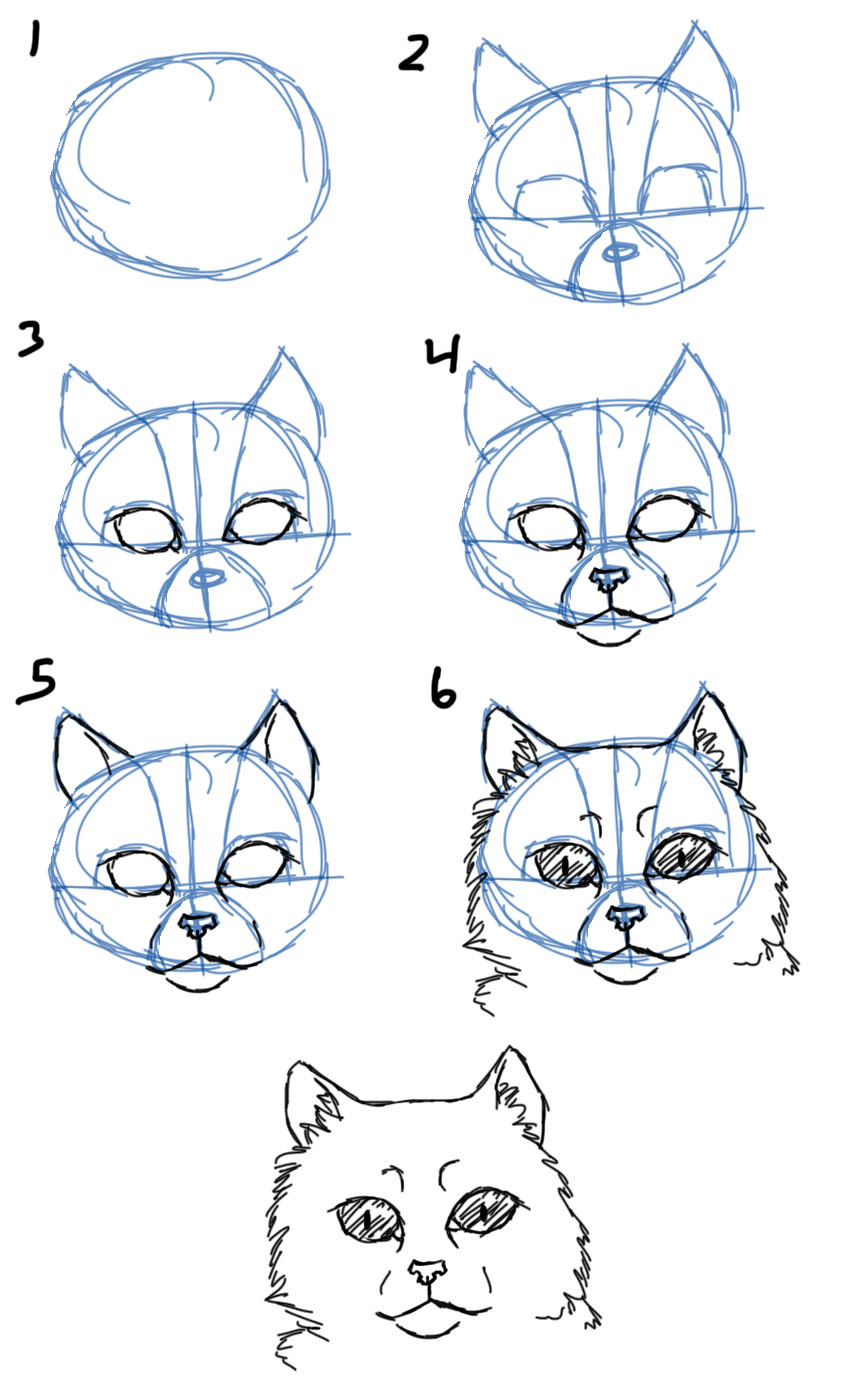 850x1400 Savanna Williams How To Draw Cats Faces Heads - Cat Face Drawing Tutorial