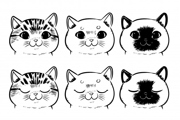 626x417 Line Drawing Cat Vectors, Photos And Free Download - Cat Face Line Drawing