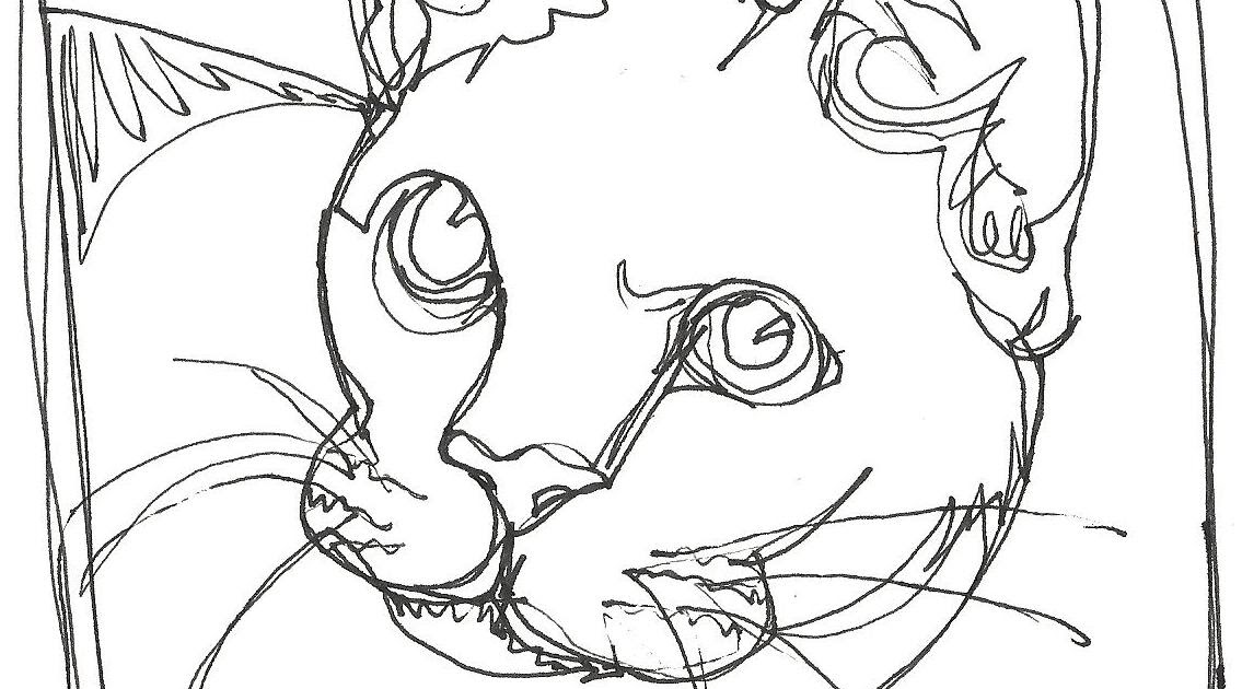 1135x630 Now Or Never White Cat Face - Cat Face Line Drawing