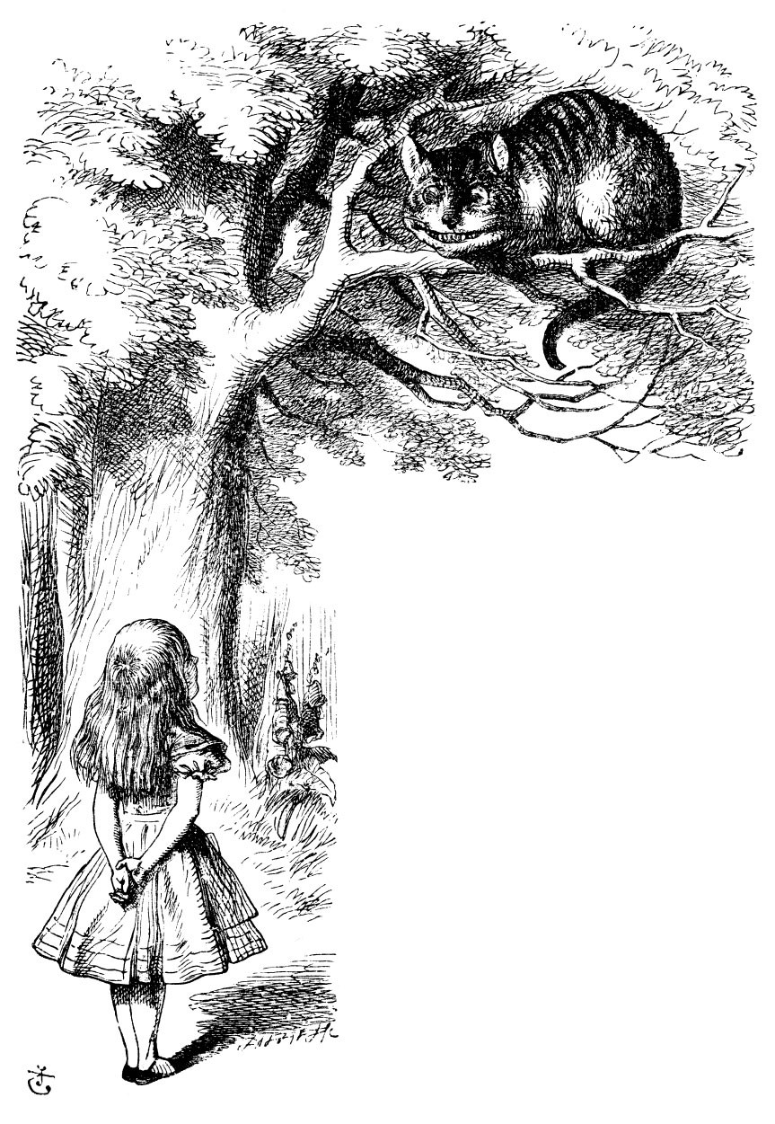 863x1251 Sir John Tenniel's Classic Illustrations Of Alice's Adventures - Cat From Alice In Wonderland Drawing
