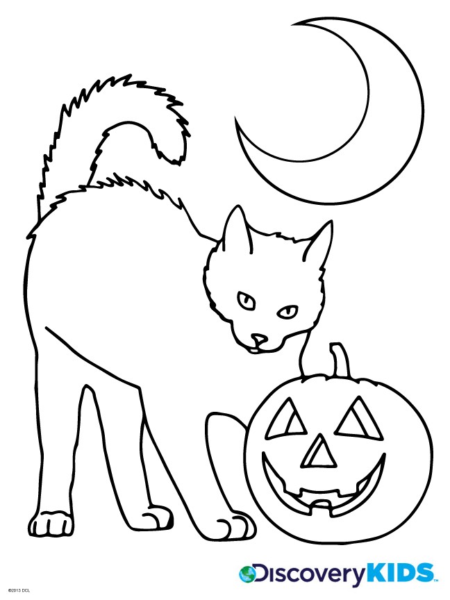 648x864 halloween cat drawing beautiful of coloring pages cats stock - Cat Halloween Drawing