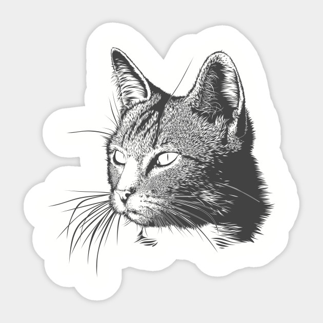 630x630 Cat Art Head Drawing Black Paint - Cat Head Drawing