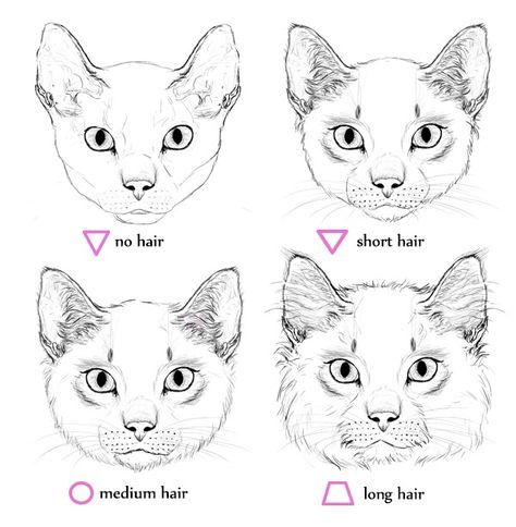 474x484 Cat Head Shape Reference Street Art In Drawings, Cat - Cat Head Drawing