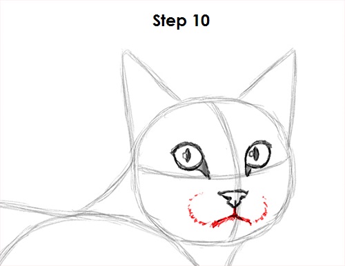 500x386 How To Draw A Cat - Cat Head Drawing