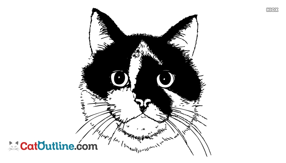 934x534 Cat Head Drawing Outline - Cat Head Drawing