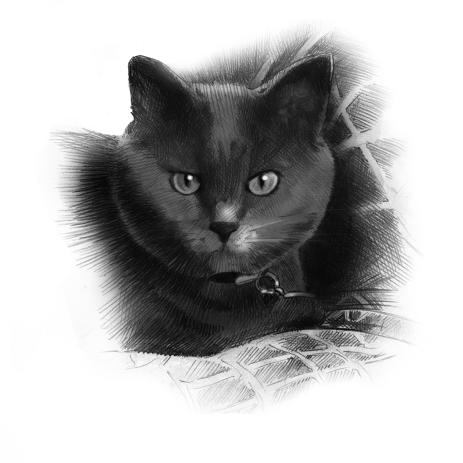 463x463 Cat Head Drawing - Cat Head Drawing