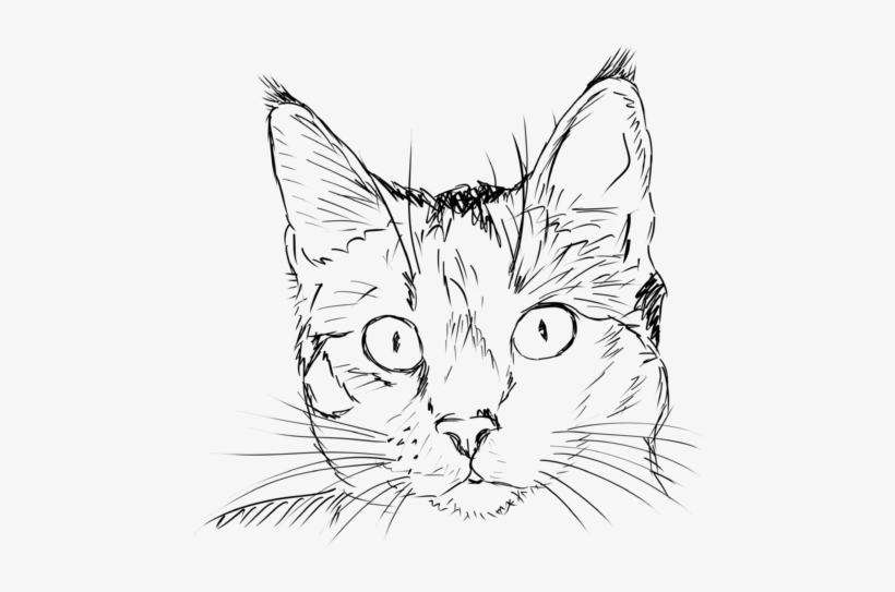 820x543 Cat Line Drawing - Cat Head Drawing