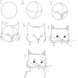 251x250 How To Draw A Cat Head - Cat Head Drawing Tutorial