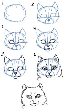 236x388 Huge Collection Of 'cat Head Drawing Tutorial' Download More Than - Cat Head Drawing Tutorial