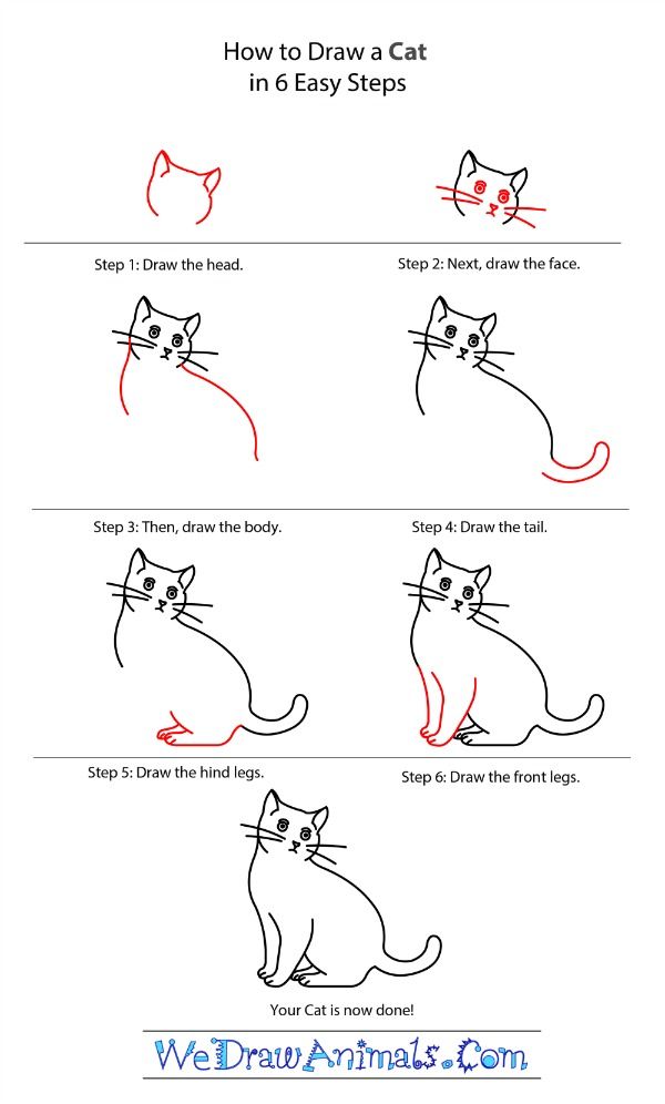 600x996 Best Cat Drawing Tutorial Ideas How To Draw Cats, Cat - Cat Head Drawing Tutorial