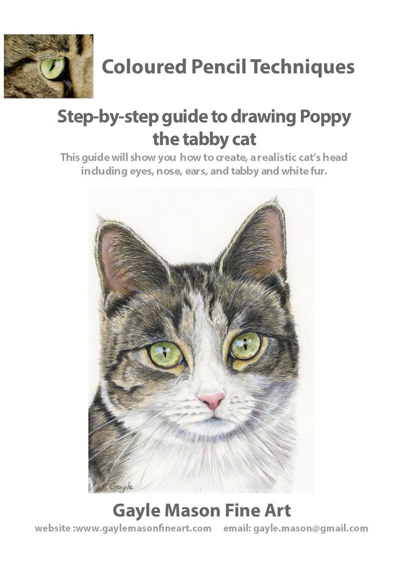 794x1126 Step - Cat Head Drawing Tutorial