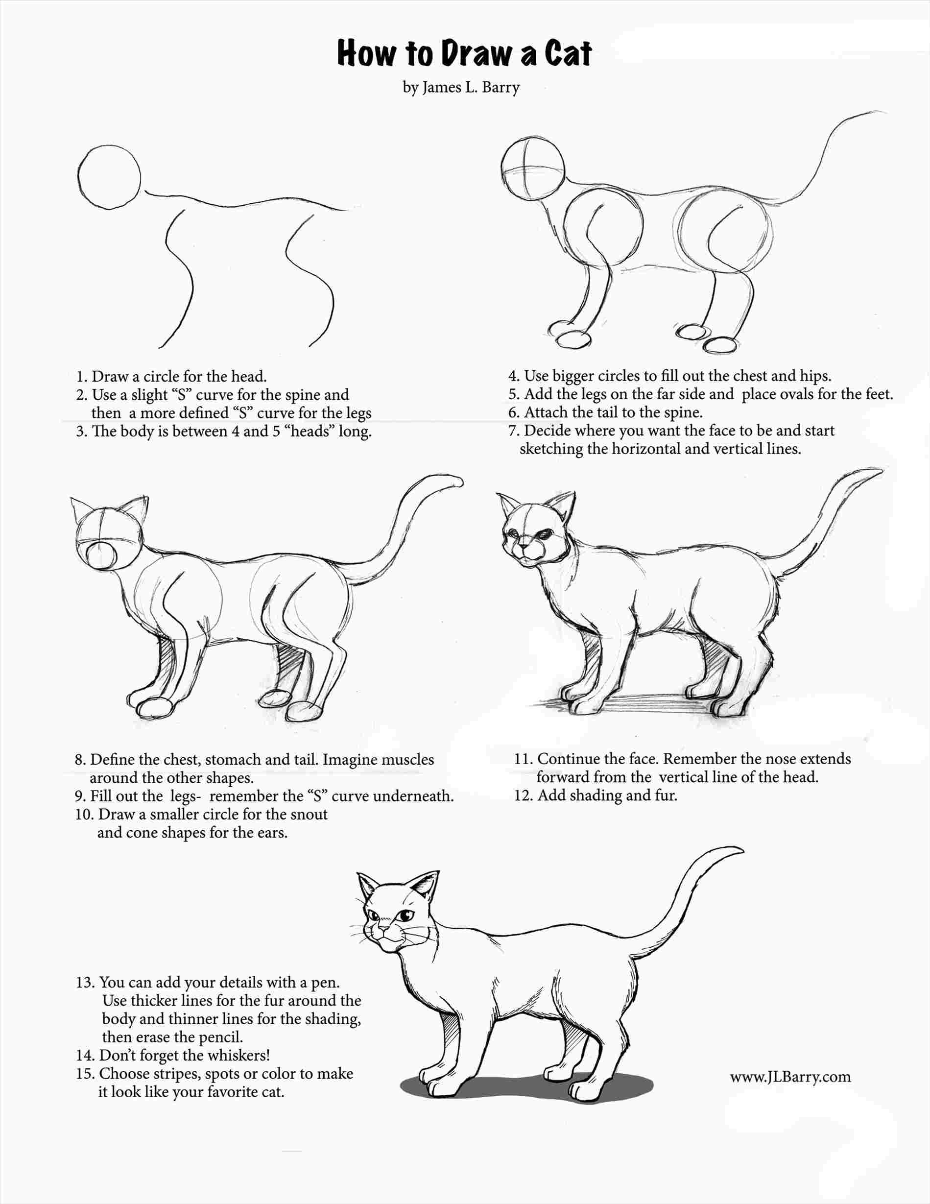 1899x2458 Draw Easy Cat - Cat Head Drawing Tutorial