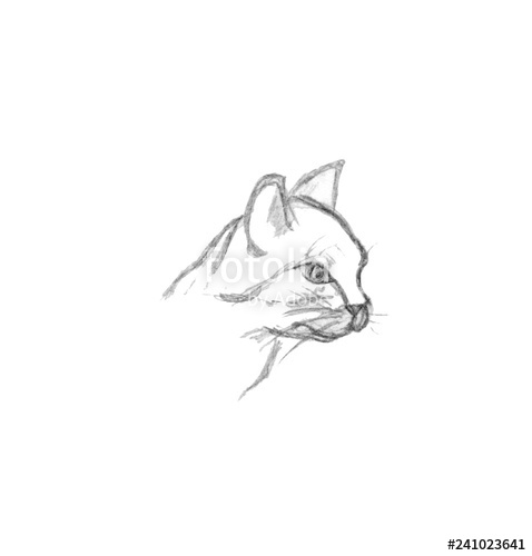 478x500 Cat Head Isolated On White Background Hand Drawn Illustration - Cat Head Line Drawing