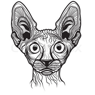 320x320 Cat Head Vector Animal Illustration Stock Vector Colourbox - Cat Head Line Drawing