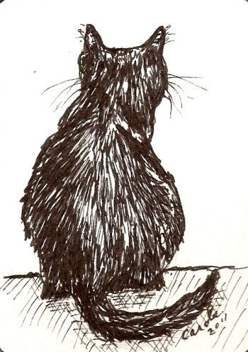 Cat Ink Drawing