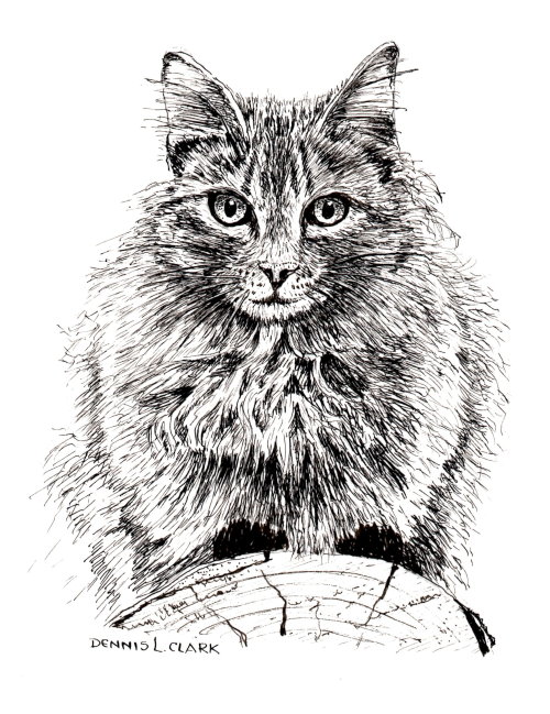 500x649 How To Draw A Cat On A Log In Pen And Ink - Cat Ink Drawing