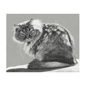 300x300 Ink Drawing Cat Drawing - Cat Ink Drawing
