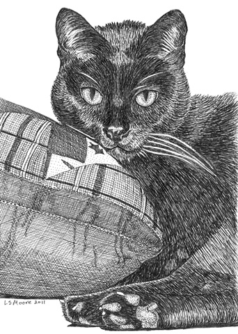 342x480 Leslie Moore - Cat Ink Drawing