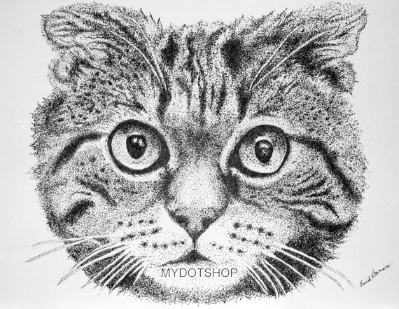 570x441 original cat pointillism pen and ink drawing products - Cat Ink Drawing