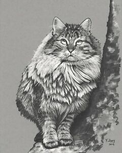 240x300 Original Art Work Ink Drawing Cat In The Tree On Toned Gray Paper - Cat Ink Drawing