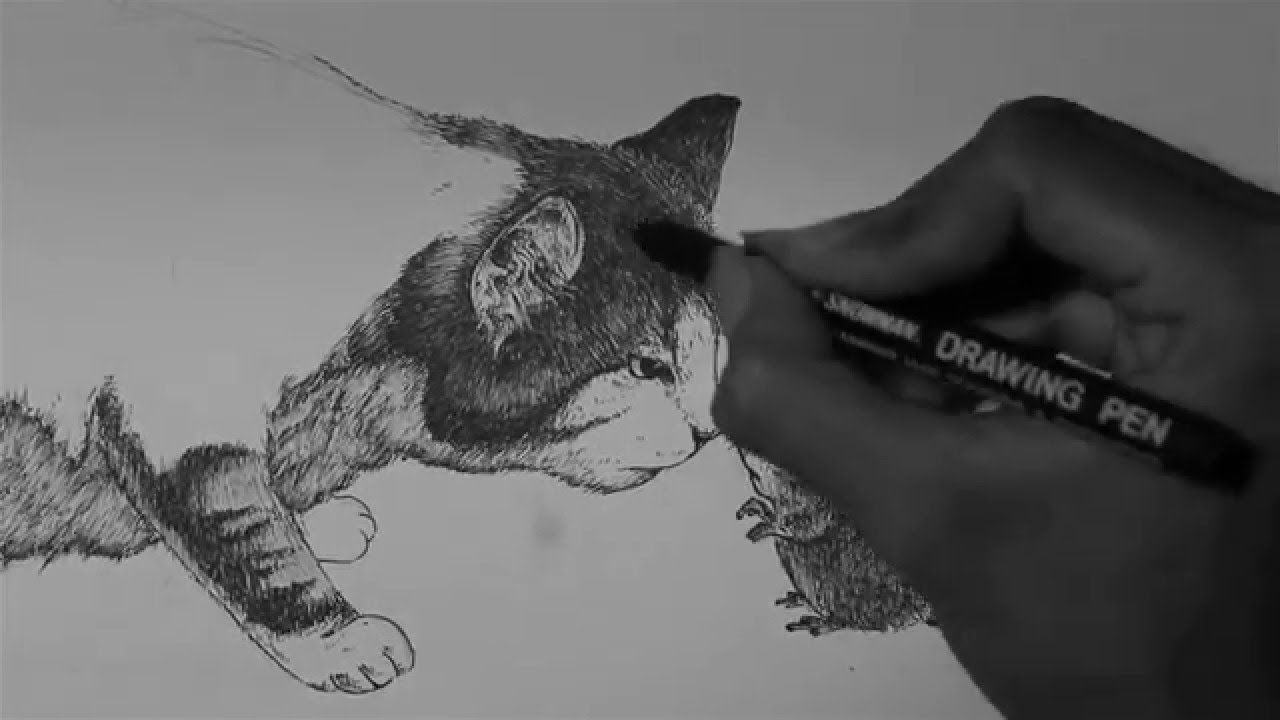 1280x720 Pen And Ink Drawing Time Lapse Cat And Little Mice Illustration - Cat Ink Drawing