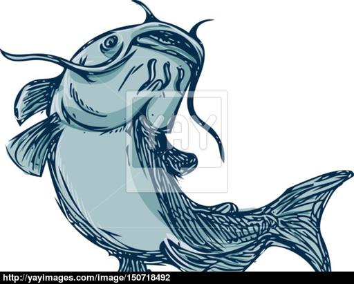 512x411 catfish mud cat jumping up drawing vector - Cat Jumping Drawing