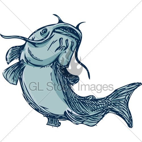 500x500 catfish mud cat jumping up drawing gl stock images - Cat Jumping Drawing