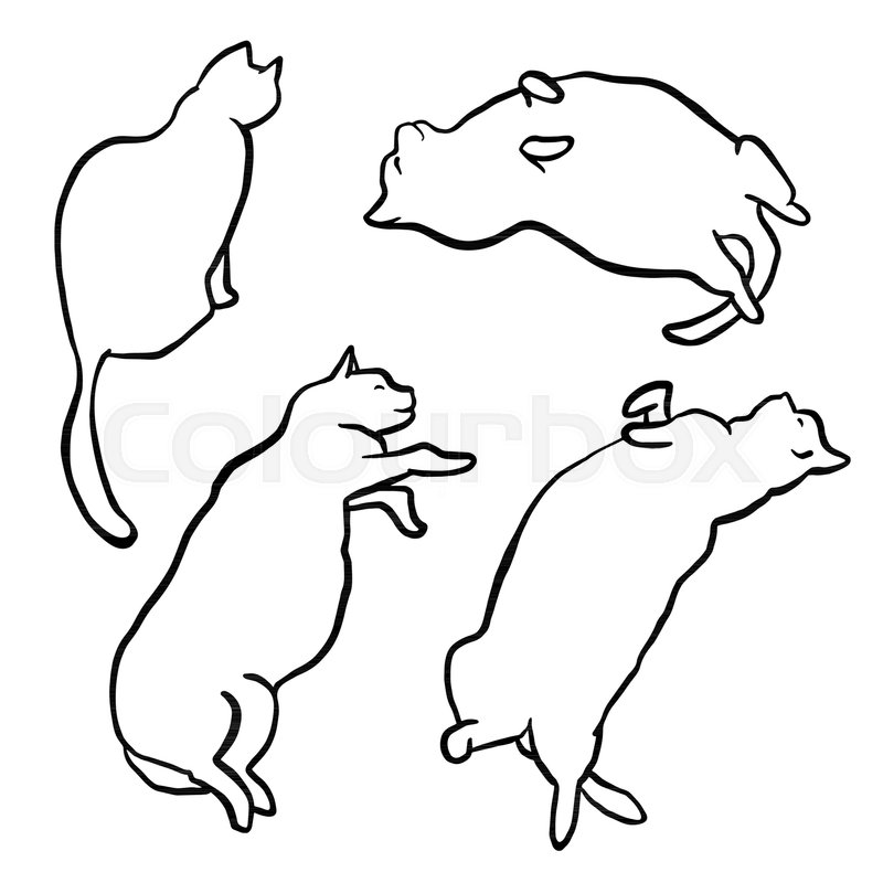 800x800 contour black cat jumping drawing - Cat Jumping Drawing
